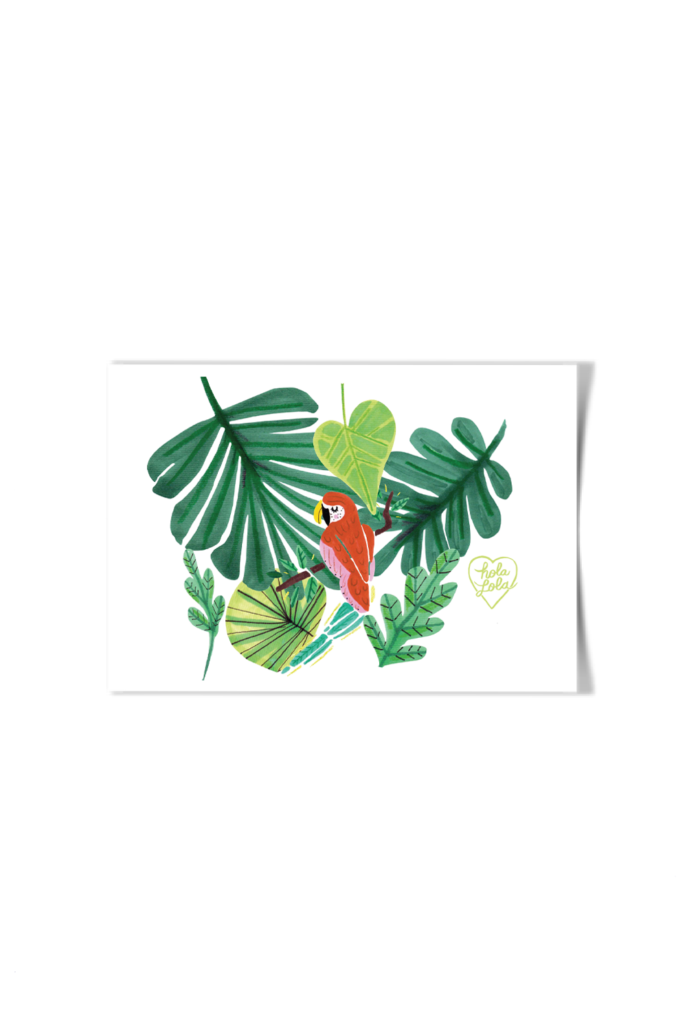 Guacamaya Postcard