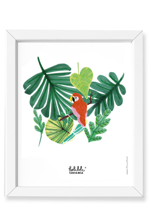Guacamaya Art Print