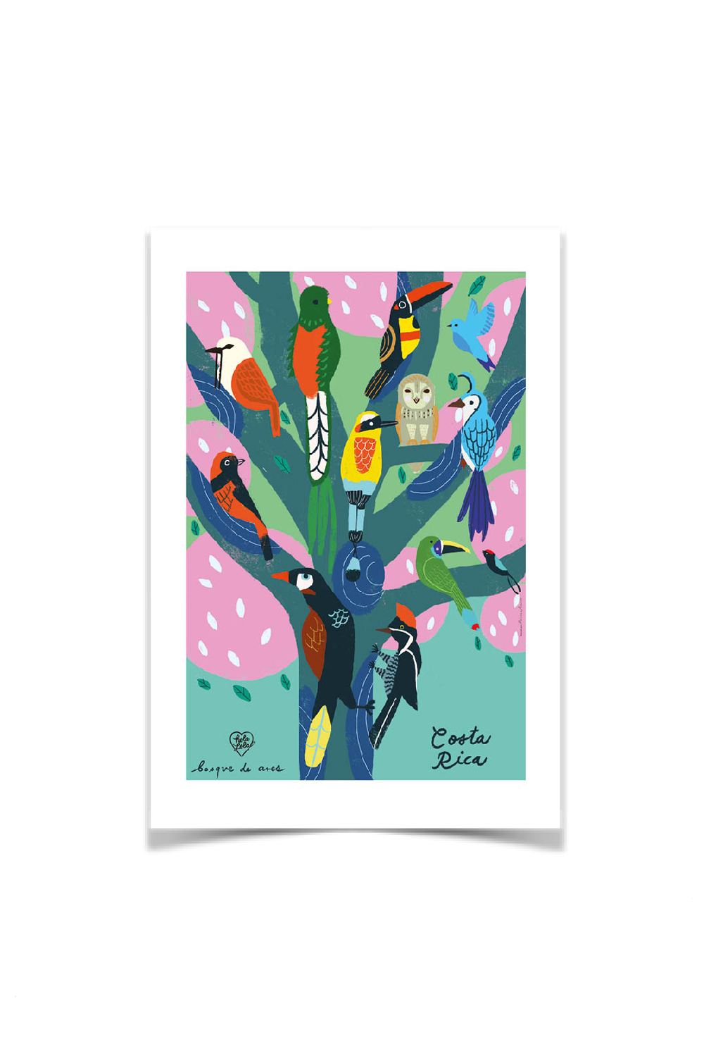 Bosque de Aves Postcard