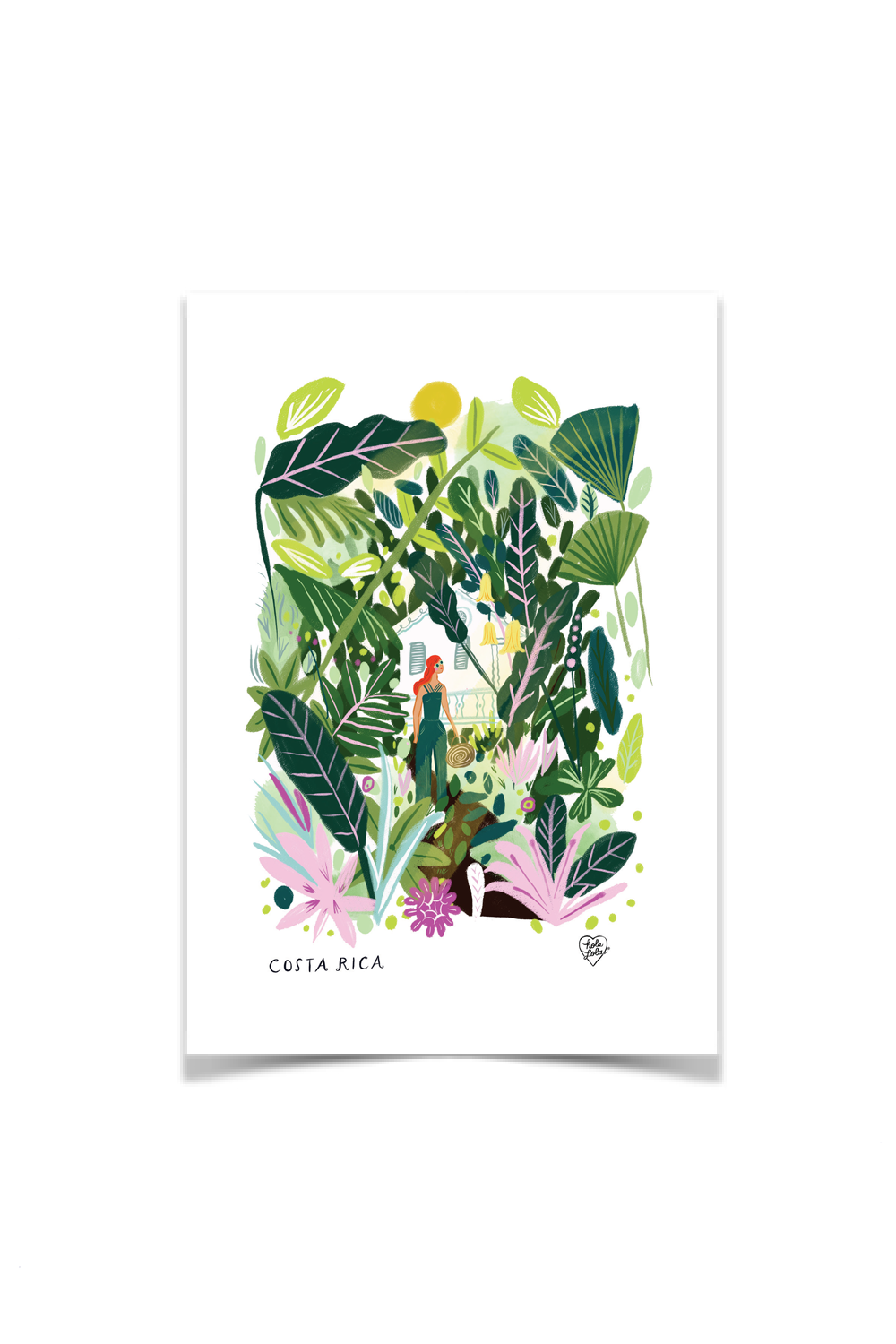 Bromelia Walk Postcard