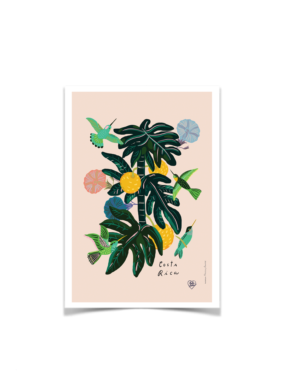 Fruta de pan Postcard