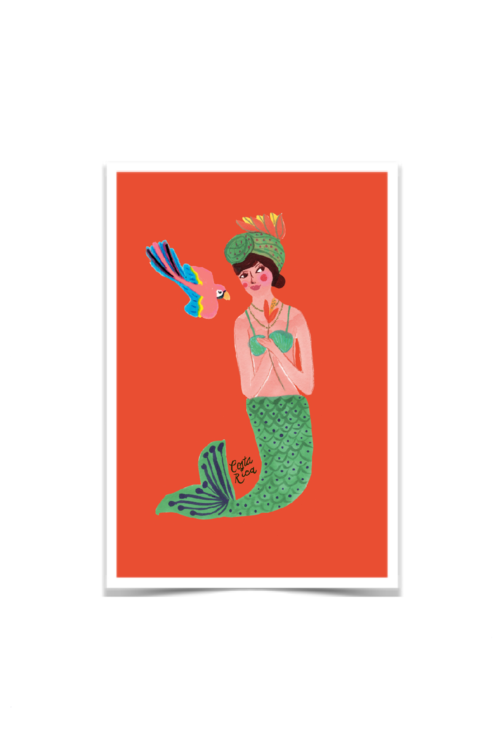 Sirena Pacífico Postcard