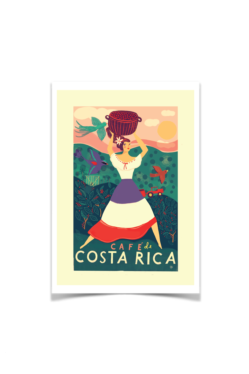 Café de Costa Rica Postcard